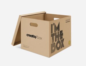 [02]纸箱 PSD MockUp