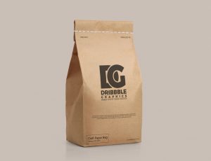 [02]纸袋包装样机PSD