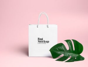 [15]购物袋PSD MockUp
