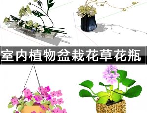 [022]室内花卉盆栽植物花草SU草图大师模型库