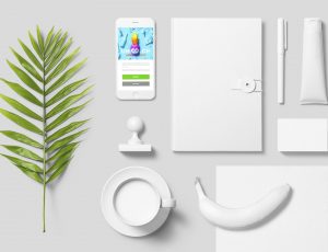 [04]单色包装品牌展示模型