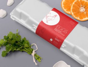 [01]蛋箱 PSD Mockup
