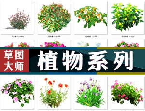 [091]植物系列SketchUp模型