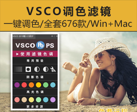 [026]VSCO Pro电脑版全滤镜PS一键调色插件网红预设win+mac