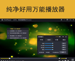 纯净播放器Player/有安装版 有绿色版 带直播源—[040]