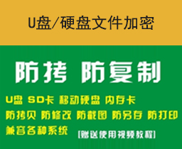 U盘加密软件防复制软件防删除软件防拷贝软件私密U盘工具软件系统