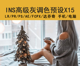 [41]LR预设北欧极简风高级感灰调色PR/FCPX/AE/PS/AI街拍旅拍人像滤镜