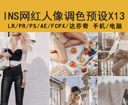 [43]法国INS网红风LR预设人像旅拍街拍胶片调色滤镜插件PS/PR/AE/FCPX